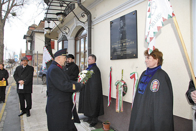 IMG_1460 IMG_1460