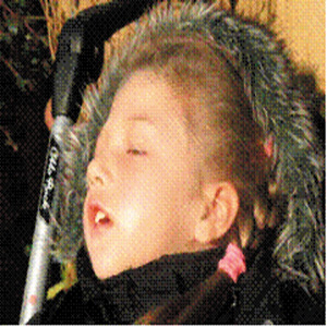 image004 image004