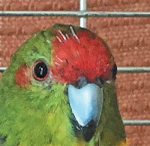 kepfile kepfile